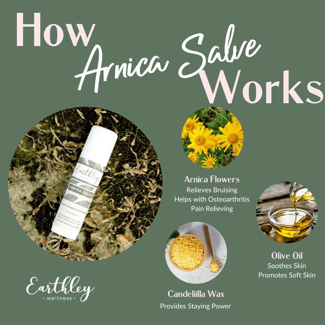 Arnica Salve by Earthley is one of the best herb around to help with everyday bumps and bruises! It’s been used