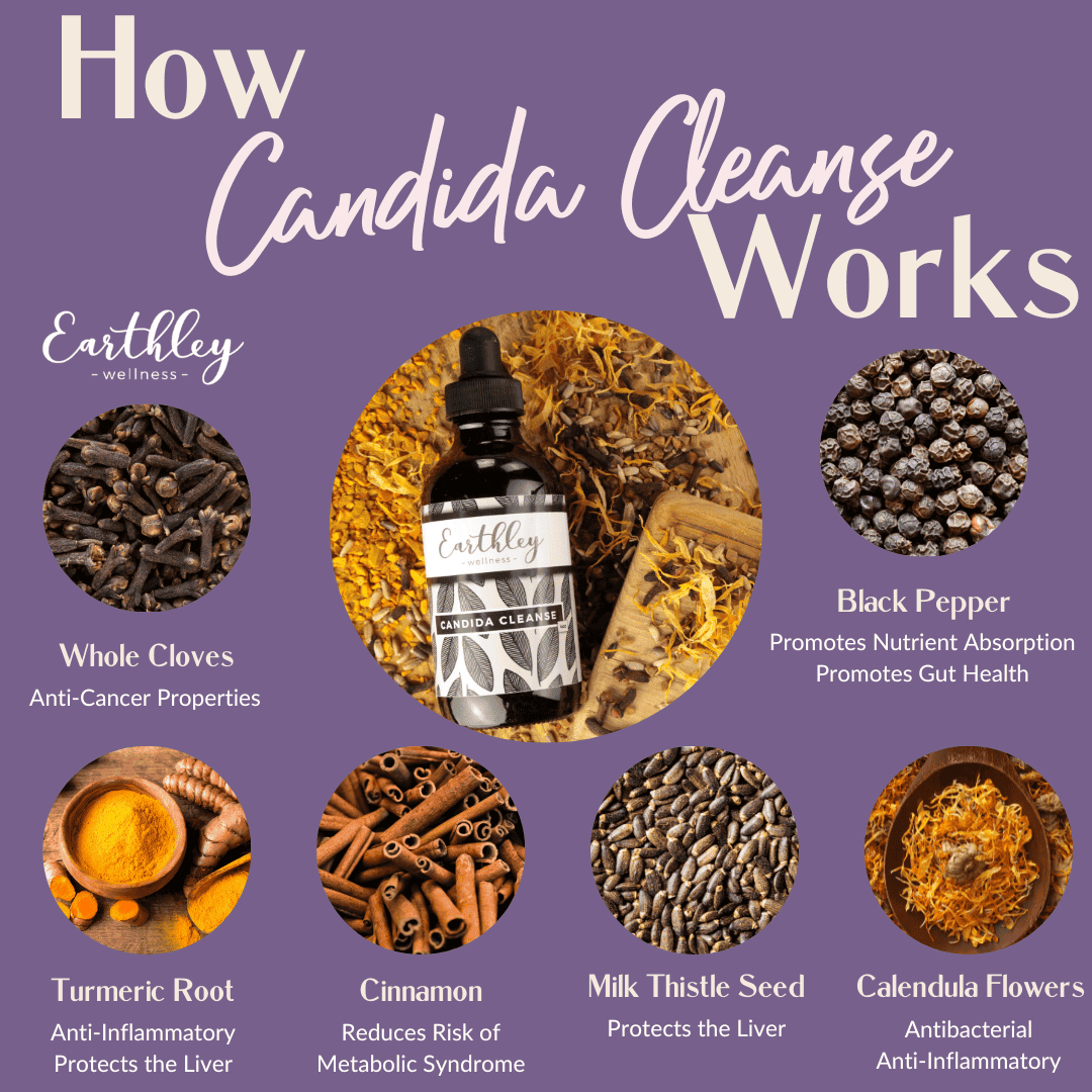 This Candida Cleanse - 2oz by Earthley combines eight simple and organic ingredients to create a tincture that may help gut and liver health. This tincture may help to naturally balance gut flora. A balanced gut flora decreases the chance of additional gut health concerns and encourages better overall health and wellness outcomes.