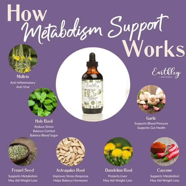 Metabolism Support