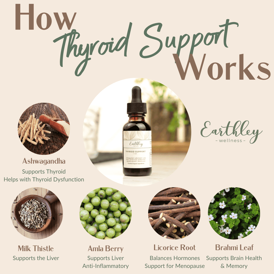 This highly-requested, Thyroid Support - 2oz by Earthely tincture was created to help support thyroid health while providing nourishment to the body. We use organic herbs that support thyroid function for health and wellness, inside and out.