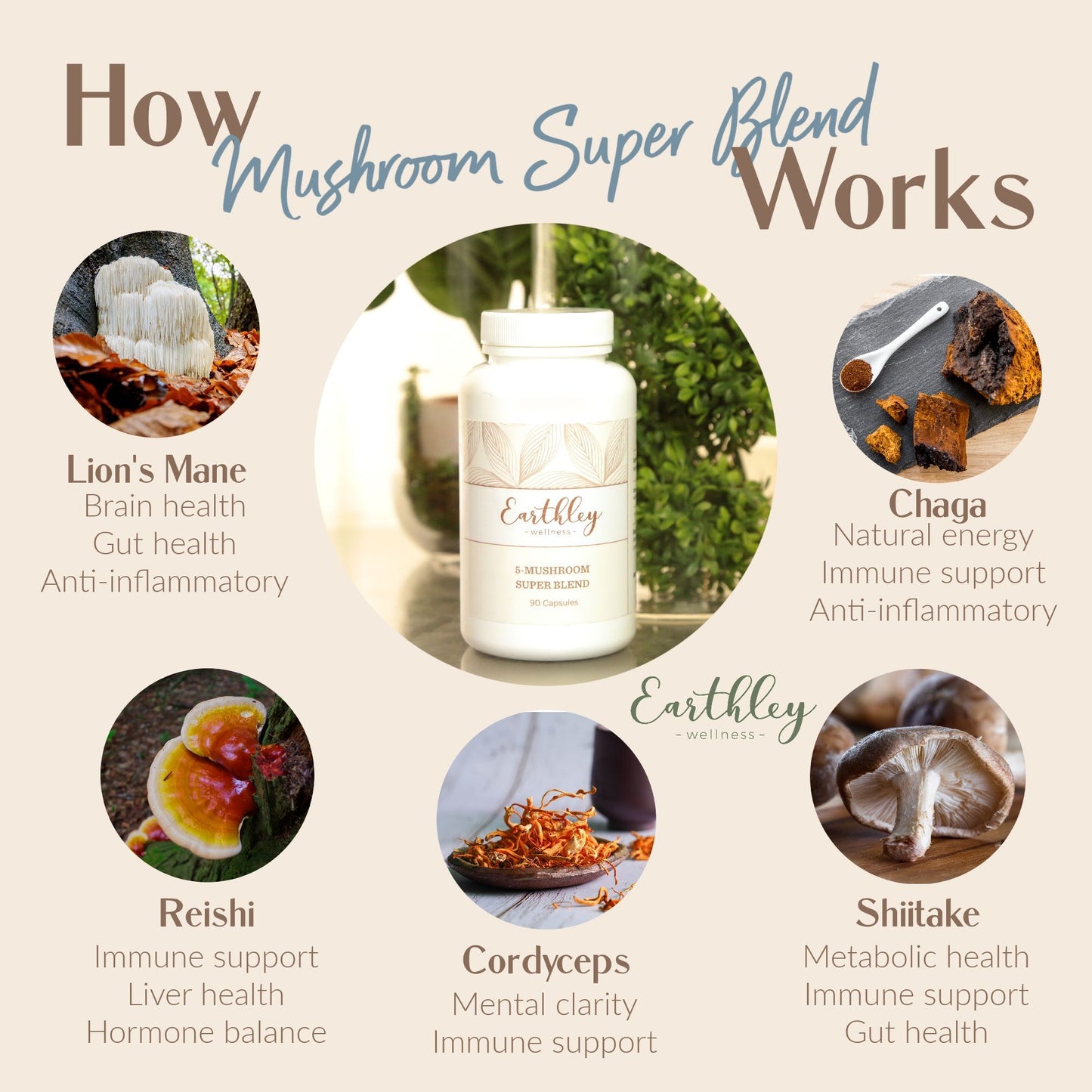 Support a healthy lifestyle with this 5 Mushroom Super Blend - 2oz Powder from Earthley! Organic lion’s mane, reishi, cordyceps, shiitake, and chaga mushrooms combine in convenient vegetable capsules to promote brain and immune health. These 5 remarkable mushrooms have been studied to show they are beneficial to health and wellness.
