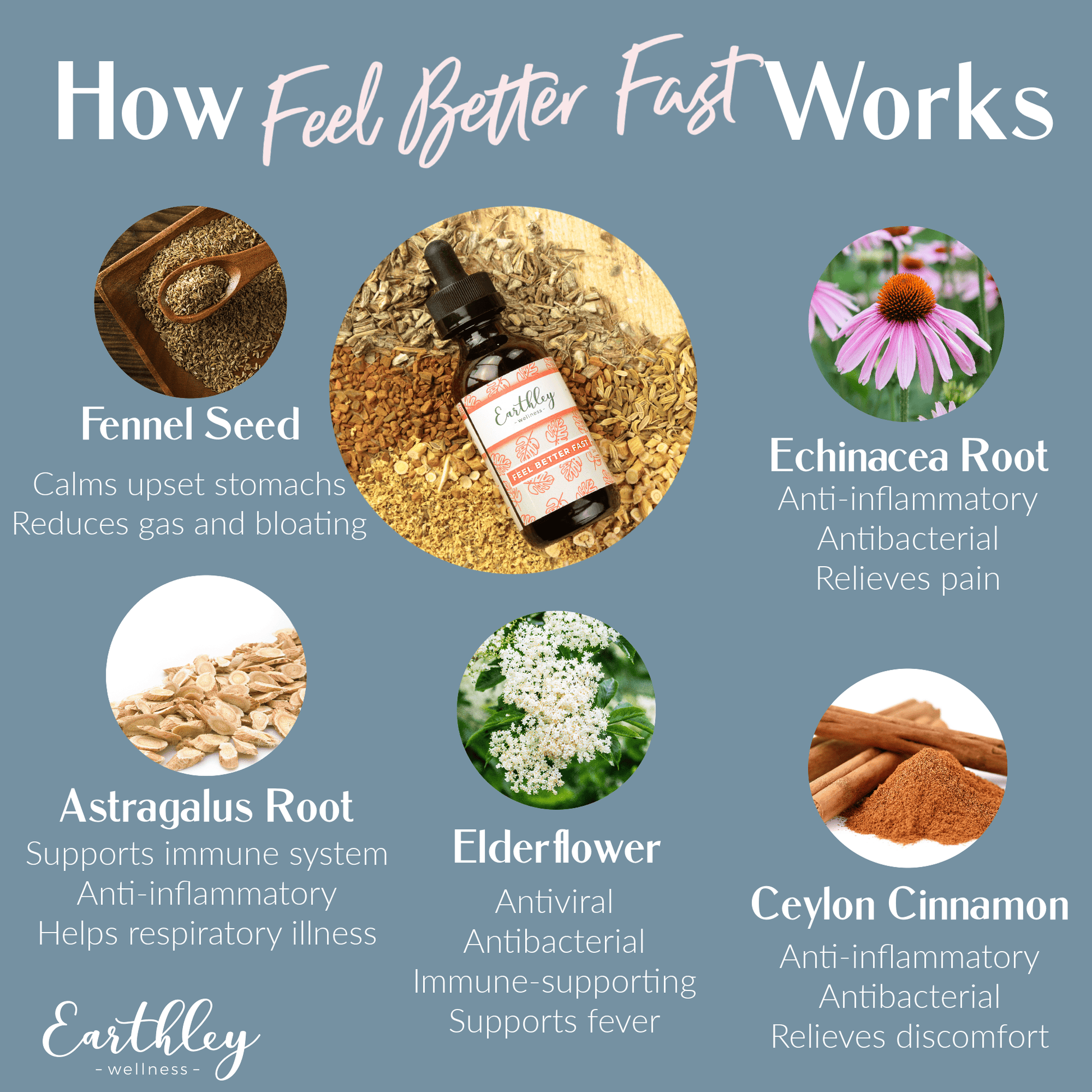 Feel Better Fast by Earthley is designed to gently help you feel better no matter what the minor illness or discomfort is. It's a catch-all starting place to simplify using a natural remedy without endless research. Unlike conventional remedies that suppress and "hide" symptoms (which can prolong illness), Feel Better Fast supports your body's natural immune system, and you return to normal...fast! This alcohol-free formula tastes great and is safe for the whole family (6 months+ and up).