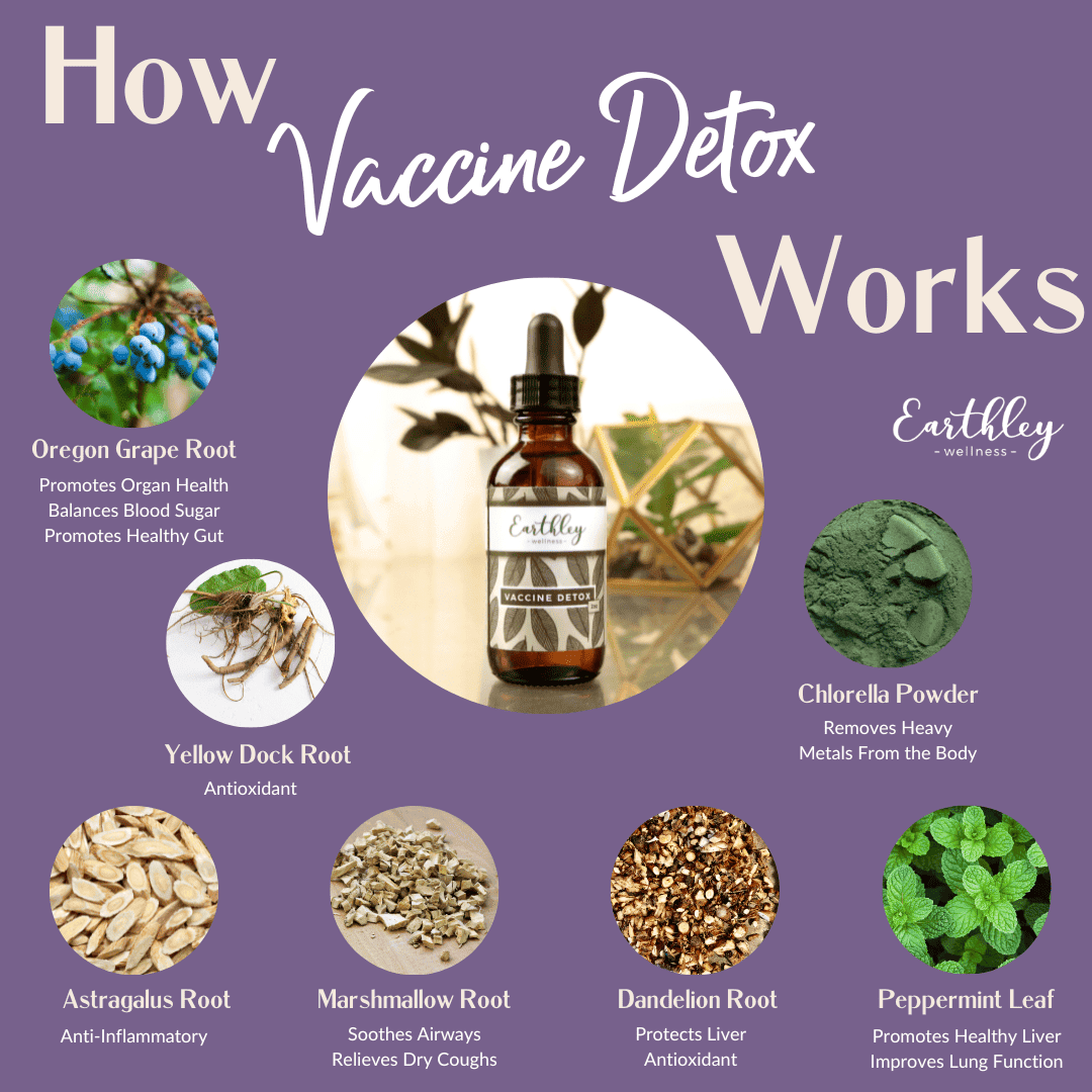 Vaccine Detox by Earthley may help support gut health and immune health issues. Seven herbs in an alcohol and glycerin base may help support natural detox and may help support liver health, gut health, and immune health. This tincture may help improve overall health, which may help improve energy levels from previous well-check visit complications!